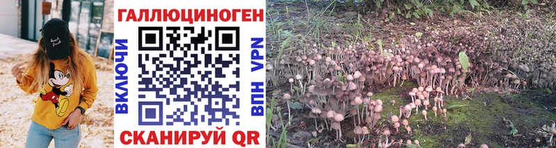 Псилоцибиновые грибы Magic Shrooms Талдом